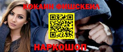 спиды Кингисепп