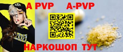 спиды Кингисепп