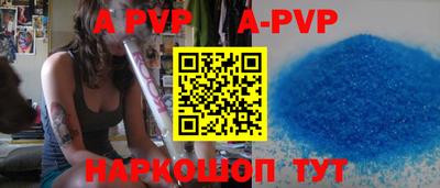 спиды Кингисепп
