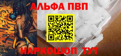 спиды Кингисепп