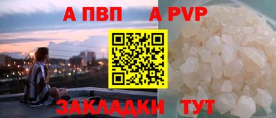 спиды Кингисепп